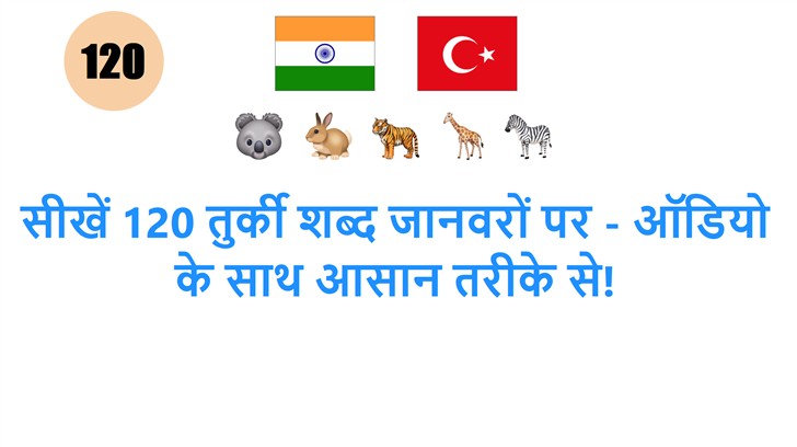 सीखें 120 तुर्की शब्द जानवरों पर - ऑडियो के साथ आसान तरीके से!